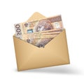 polish zÃâoty notes inside an open brown envelope Royalty Free Stock Photo